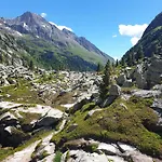 Falkenstein *